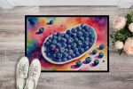 Colorful Blueberries Doormat Front Door Mat Indoor Outdoor Rugs for Entryway, Non Slip Washable Low Pile, 24H X 36W