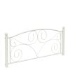 Full Size Unique Flower Sturdy System Metal Bed Frame with Headboard and Footboard