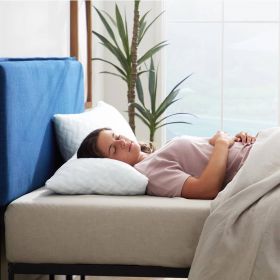 Set of 2 - Shredded Memory Foam Bed Pillows with 2 Pillowcases - (Option: Standard size)