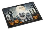 NEW Doormat Front Door Mat Indoor Outdoor Rugs for Entryway, Non Slip Washable Low Pile, 18H X 27W