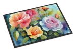 NEW Doormat Front Door Mat Indoor Outdoor Rugs for Entryway, Non Slip Washable Low Pile, 18H X 27W