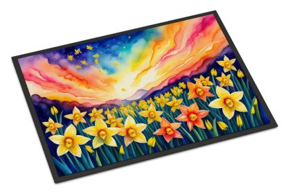 Doormat Front Door Mat Indoor Outdoor Rugs for Entryway, Non Slip Washable Low Pile, 24H X 36W (Option: Daffodils in Color)
