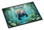Doormat Front Door Mat Indoor Outdoor Rugs for Entryway, Non Slip Washable Low Pile, 24H X 36W