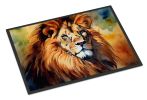 Doormat Front Door Mat Indoor Outdoor Rugs for Entryway, Non Slip Washable Low Pile, 24H X 36