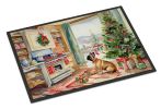 Doormat Front Door Mat Indoor Outdoor Rugs for Entryway, Non Slip Washable Low Pile, 24H X 36W