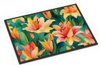 Doormat Front Door Mat Indoor Outdoor Rugs for Entryway, Non Slip Washable Low Pile, 24H X 36W