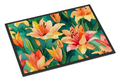 Doormat Front Door Mat Indoor Outdoor Rugs for Entryway, Non Slip Washable Low Pile, 24H X 36W (Option: Lilies in Watercolor)