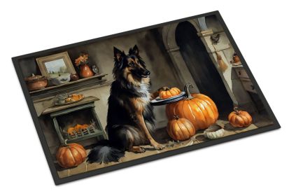 Doormat Front Door Mat Indoor Outdoor Rugs for Entryway, Non Slip Washable Low Pile, 24H X 36W (Option: Belgian Tervuren Fall Kitchen Pumpkins)