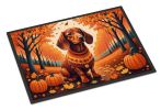 Doormat Front Door Mat Indoor Outdoor Rugs for Entryway, Non Slip Washable Low Pile, 24H X 36W