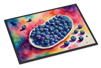 Doormat Front Door Mat Indoor Outdoor Rugs for Entryway, Non Slip Washable Low Pile, 24H X 36W (Option: Colorful Blueberries)