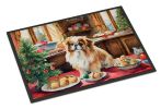 Doormat Front Door Mat Indoor Outdoor Rugs for Entryway, Non Slip Washable Low Pile, 24H X 36W