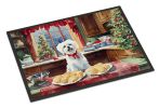 Doormat Front Door Mat Indoor Outdoor Rugs for Entryway, Non Slip Washable Low Pile, 24H X 36W