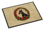Doormat Front Door Mat Indoor Outdoor Rugs for Entryway, Non Slip Washable Low Pile, 24H X 36W