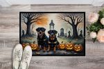 NEW Doormat Front Door Mat Indoor Outdoor Rugs for Entryway, Non Slip Washable Low Pile, 18H X 27W