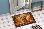 NEW Doormat Front Door Mat Indoor Outdoor Rugs for Entryway, Non Slip Washable Low Pile, 18H X 27W