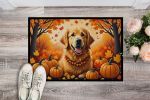NEW Doormat Front Door Mat Indoor Outdoor Rugs for Entryway, Non Slip Washable Low Pile, 18H X 27W