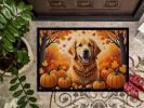 NEW Doormat Front Door Mat Indoor Outdoor Rugs for Entryway, Non Slip Washable Low Pile, 18H X 27W