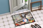 NEW Doormat Front Door Mat Indoor Outdoor Rugs for Entryway, Non Slip Washable Low Pile, 18H X 27W