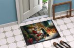Doormat Front Door Mat Indoor Outdoor Rugs for Entryway, Non Slip Washable Low Pile, 24H X 36W