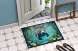 Doormat Front Door Mat Indoor Outdoor Rugs for Entryway, Non Slip Washable Low Pile, 24H X 36W