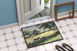 Doormat Front Door Mat Indoor Outdoor Rugs for Entryway, Non Slip Washable Low Pile, 24H X 36W