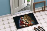 Doormat Front Door Mat Indoor Outdoor Rugs for Entryway, Non Slip Washable Low Pile, 24H X 36W