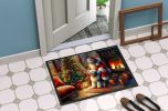 Doormat Front Door Mat Indoor Outdoor Rugs for Entryway, Non Slip Washable Low Pile, 24H X 36W