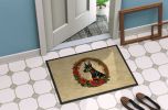 Doormat Front Door Mat Indoor Outdoor Rugs for Entryway, Non Slip Washable Low Pile, 24H X 36W