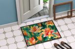 Doormat Front Door Mat Indoor Outdoor Rugs for Entryway, Non Slip Washable Low Pile, 24H X 36W