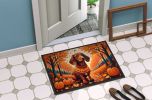 Doormat Front Door Mat Indoor Outdoor Rugs for Entryway, Non Slip Washable Low Pile, 24H X 36W