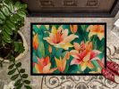 Doormat Front Door Mat Indoor Outdoor Rugs for Entryway, Non Slip Washable Low Pile, 24H X 36W