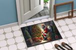 Doormat Front Door Mat Indoor Outdoor Rugs for Entryway, Non Slip Washable Low Pile, 24H X 36