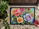 NEW Doormat Front Door Mat Indoor Outdoor Rugs for Entryway, Non Slip Washable Low Pile, 18H X 27W