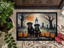 NEW Doormat Front Door Mat Indoor Outdoor Rugs for Entryway, Non Slip Washable Low Pile, 18H X 27W