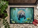 Doormat Front Door Mat Indoor Outdoor Rugs for Entryway, Non Slip Washable Low Pile, 24H X 36W