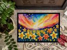 Doormat Front Door Mat Indoor Outdoor Rugs for Entryway, Non Slip Washable Low Pile, 24H X 36W