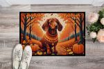 Doormat Front Door Mat Indoor Outdoor Rugs for Entryway, Non Slip Washable Low Pile, 24H X 36W
