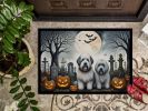 NEW Doormat Front Door Mat Indoor Outdoor Rugs for Entryway, Non Slip Washable Low Pile, 18H X 27W