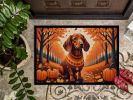 Doormat Front Door Mat Indoor Outdoor Rugs for Entryway, Non Slip Washable Low Pile, 24H X 36W